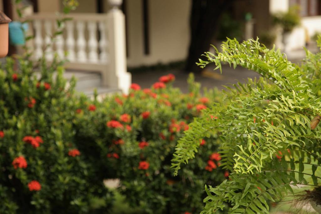 Hotel Jardim Φορταλέζα Εξωτερικό φωτογραφία