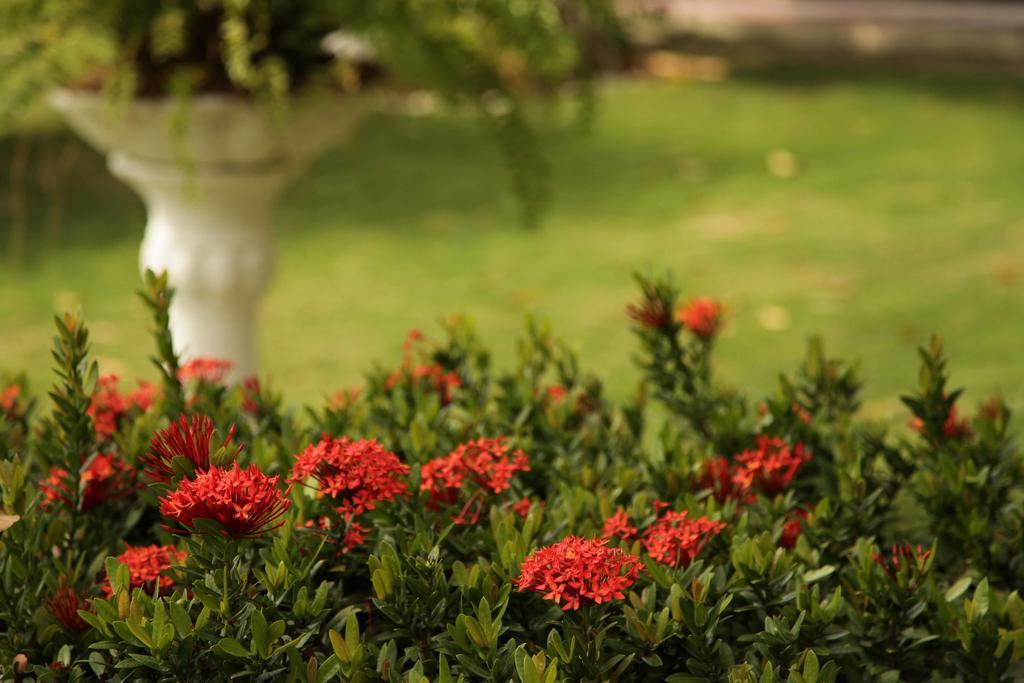 Hotel Jardim Φορταλέζα Εξωτερικό φωτογραφία