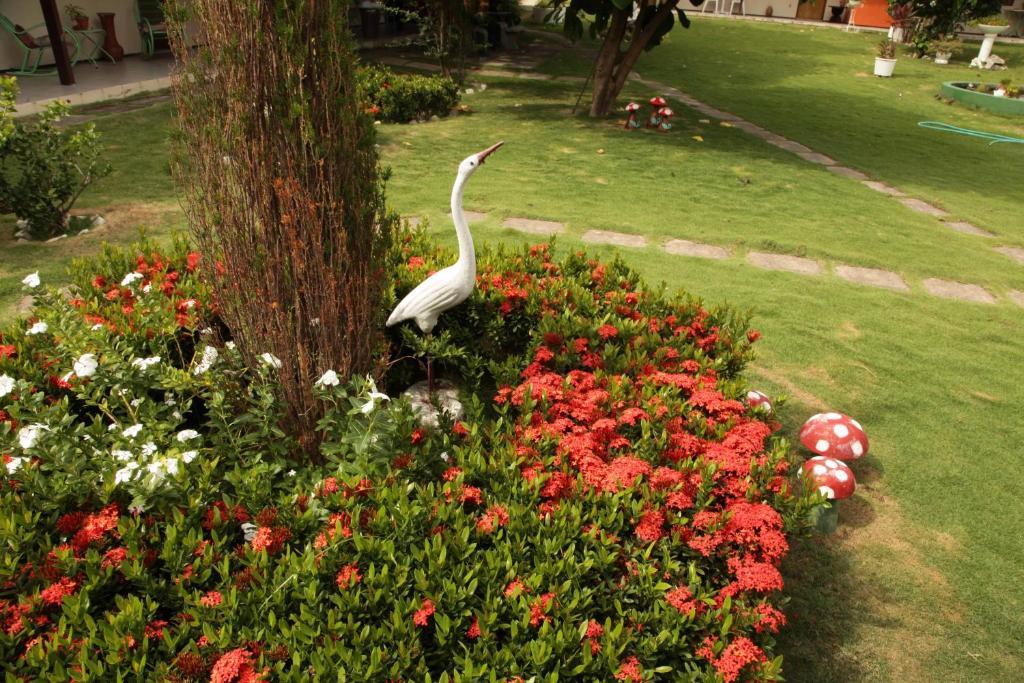 Hotel Jardim Φορταλέζα Εξωτερικό φωτογραφία