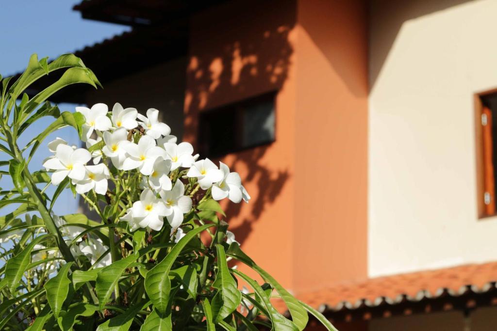 Hotel Jardim Φορταλέζα Εξωτερικό φωτογραφία
