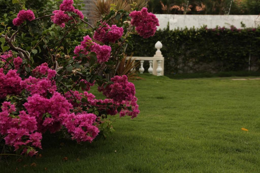 Hotel Jardim Φορταλέζα Εξωτερικό φωτογραφία